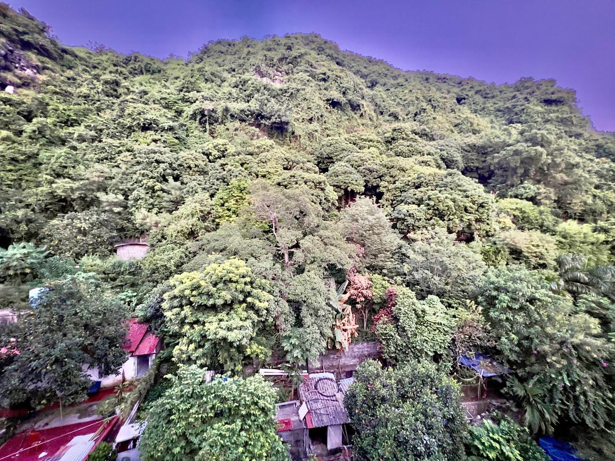 Dong Khe Sau Manh Vuong Hotel Catba מראה חיצוני תמונה